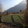 Retreat in India and Training Program: BALANCE - Image 17