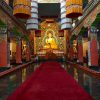 Retreat in India and Training Program: BALANCE - Image 8