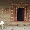Retreat in India and Training Program: BALANCE - Image 12