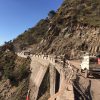 Retreat in India and Training Program: BALANCE - Image 13