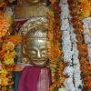 Retreat in India and Training Program: BALANCE - Image 39