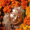 Retreat in India and Training Program: BALANCE - Image 22