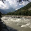 Retreat in India and Training Program: BALANCE - Image 60