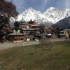 Retreat in India and Training Program: BALANCE - Image 21