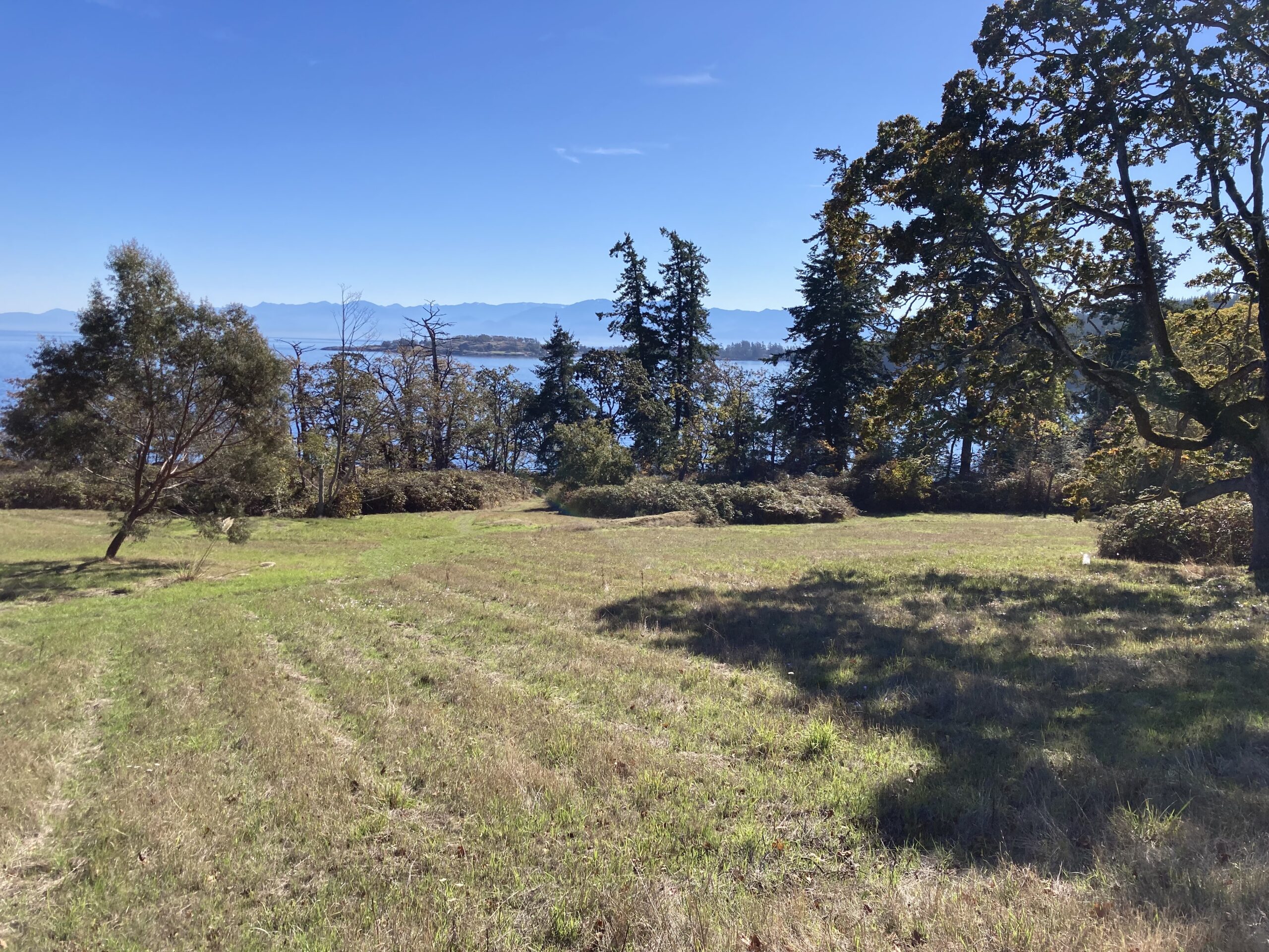 Meditation & Self-Enquiry Retreat 2027 deposit - Image 10