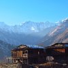 Retreat in India and Training Program: BALANCE - Image 2
